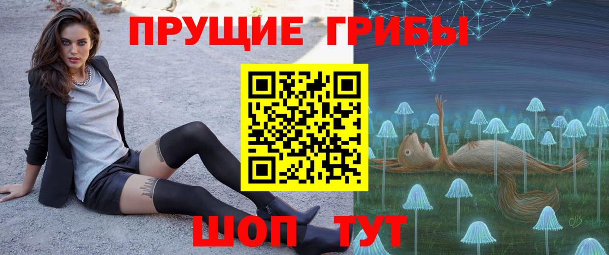купить наркотики цена  Псилоцибиновые грибы GOLDEN TEACHER  Вход с VPN  Курчалой 