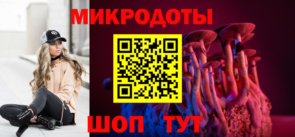 Псилоцибиновые грибы Psilocybine cubensis Курчалой