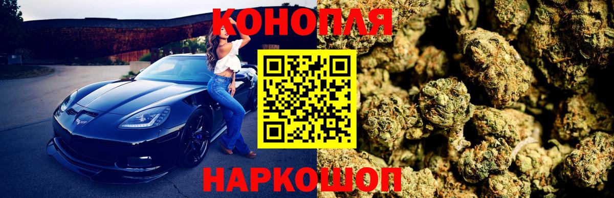 Бошки марихуана ГИДРОПОН Курчалой